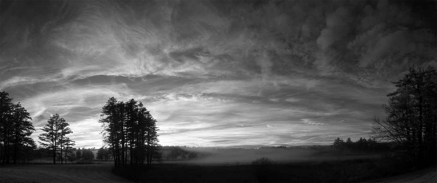 Winter Infrared Panorama of New England Sky Framed by Black Trees.